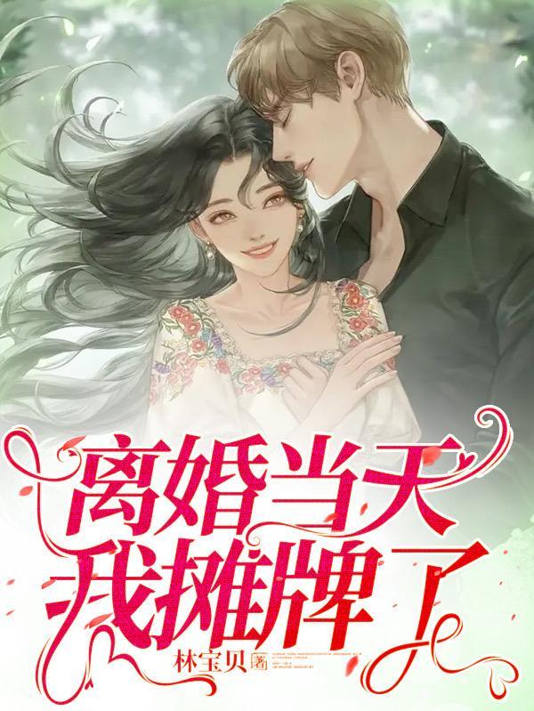 离婚当天我摊牌了陆枫