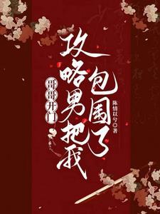 攻略哥哥漫画