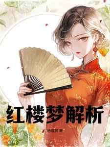 红楼梦细解