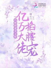 闪婚闪来亿万豪宠