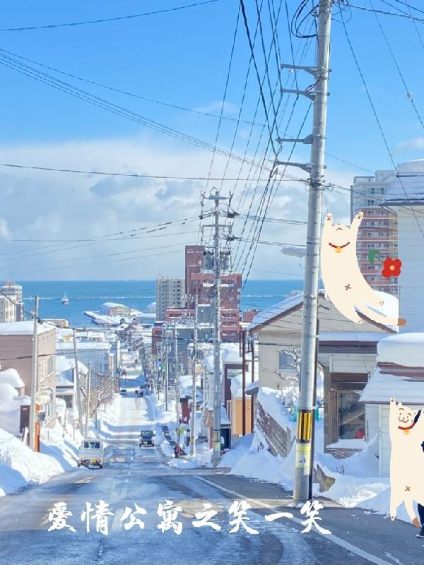 爱情公寓笑点排行