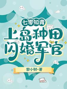 海岛种田嫁军官作者黎小财