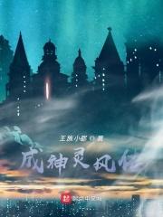 成神风暴免费阅读