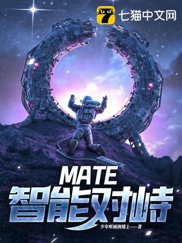 mate超级智能团队