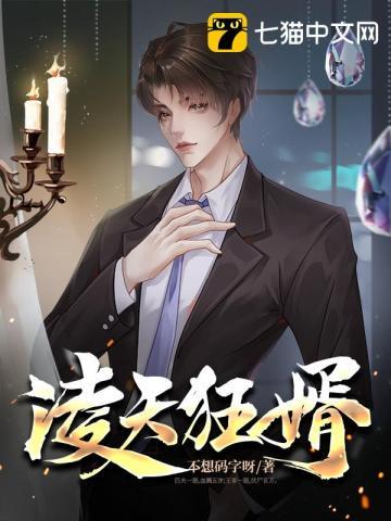 凌天战婿全文免费阅读