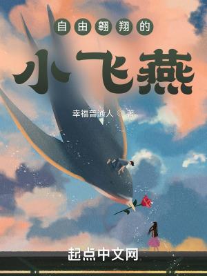 自由飞翔的视频