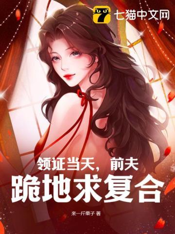 重生前夫领证去