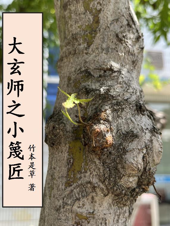 大玄师讲的是什么