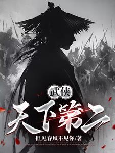 武侠之天下第一帅