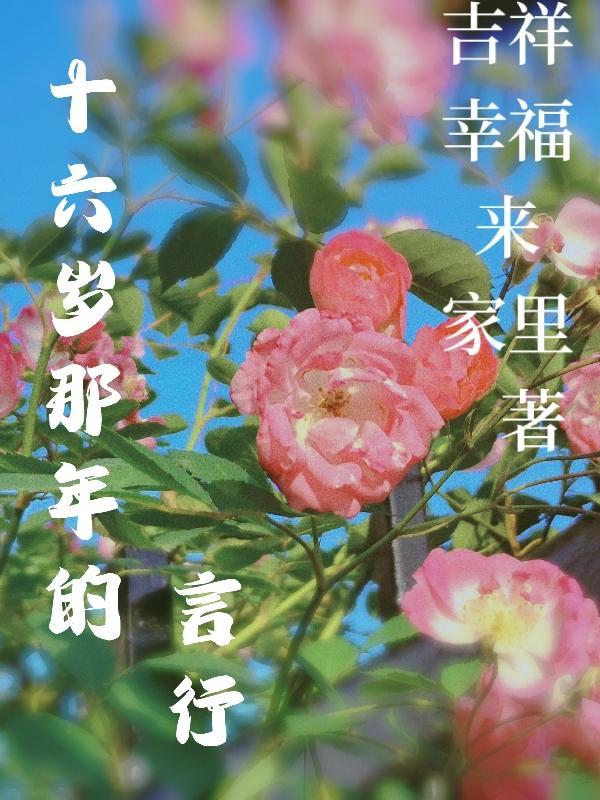 十六岁的那一天歌词