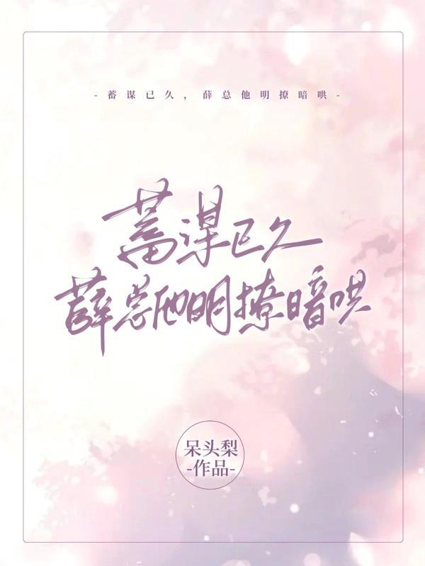 薛总他明撩暗哄 小妖火火