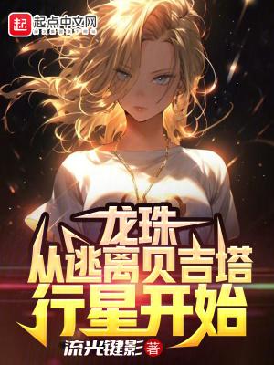 穿越七龙珠之贝吉塔