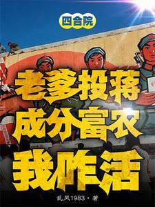 贾当情满四合院