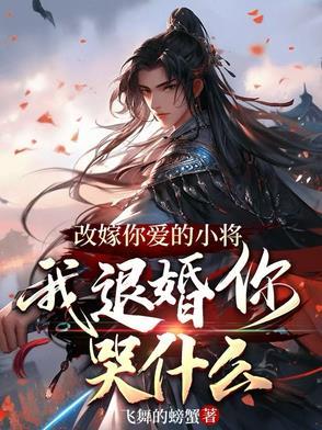 我改嫁了