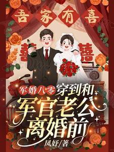 军婚念念