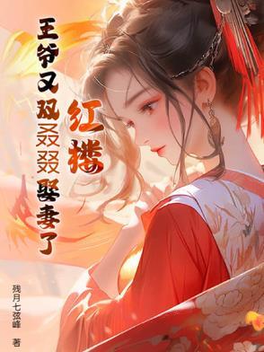 红楼梦里王爷