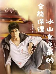 冰山女总裁的贴身保镖叶文