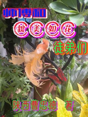师父貌美如花