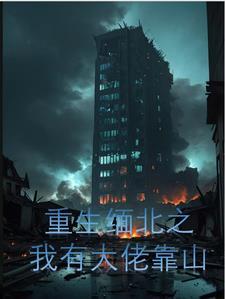 重生之缅甸风云
