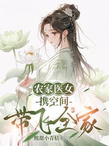 农家医女 带着空间好种田 岑白