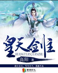 皇极天剑稀有辅助材料