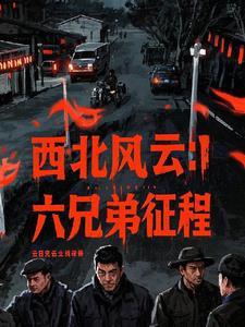 西北风云电影在线
