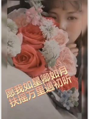 片名;愿我如星君如月