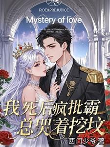 主角叫南川宁风笙的小说