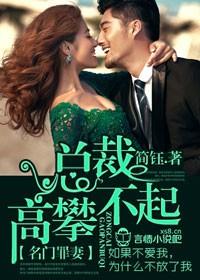 名门高攀不起免费阅读