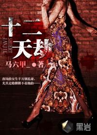十二天劫免费阅读类似