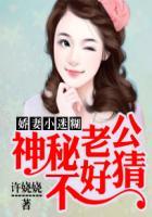 小妻太甜神秘老公花式宠全文免费阅读