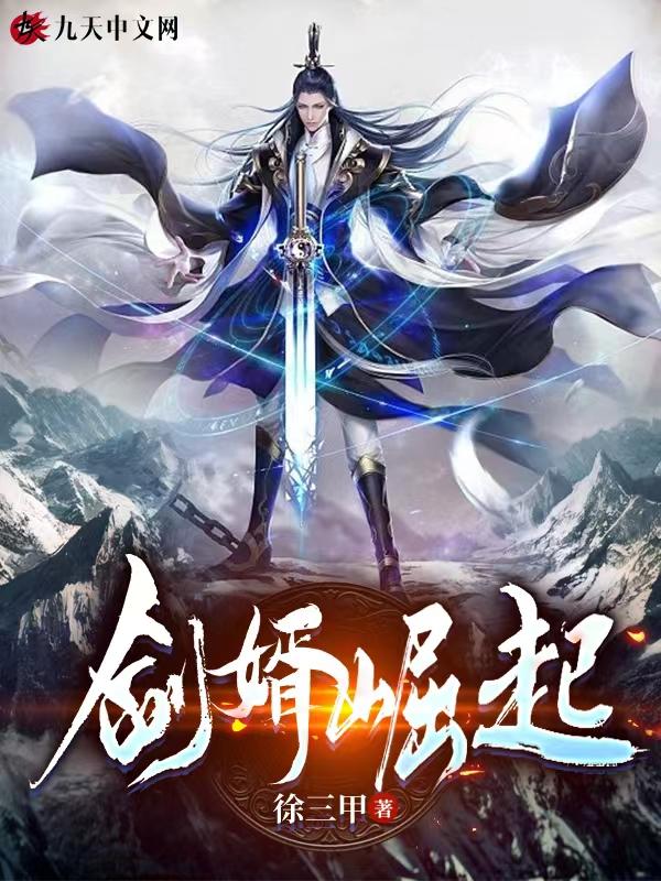 剑婿崛起TXT免费全集