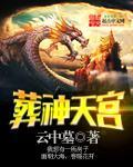 葬天宫完结了吗