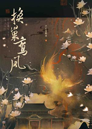 换巢鸾凤TXT百度