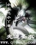 圣光最强阵容