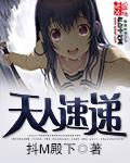 湖南天人集团股份有限公司