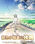 宠物小精灵之伶