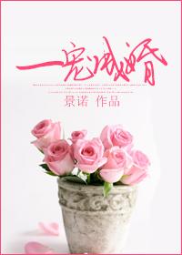 一宠成婚txt景诺