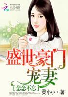 念念不忘盛世豪门宠妻 聚合中文网