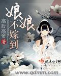 娘娘嫁到免费阅读