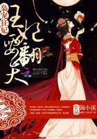 枭宠医妃 邪王轻点爱