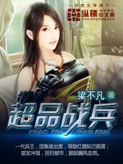 超品战兵全集