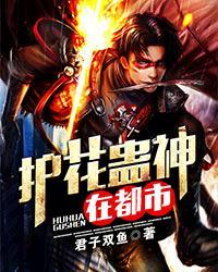 护花高手在都市完整版免费阅读