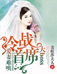 爱妻入骨冷少