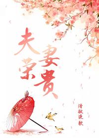 夫荣妻贵短剧合集在线观看