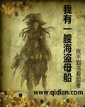我有一艘超级海盗船
