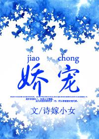 娇宠南安免费全文阅读