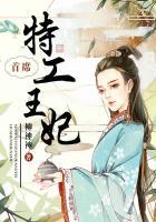 首席女特工王妃