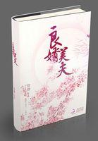 良婿美夫资源