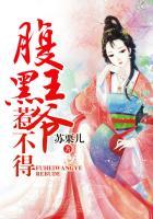 腹黑王爷惹上身